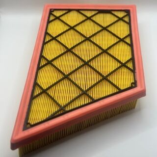 Genuine Ford Ranger TRA  & TEK Everest Air Filter 2.0 Ecoblue & 3.0 Diesel Engines 2022-2023